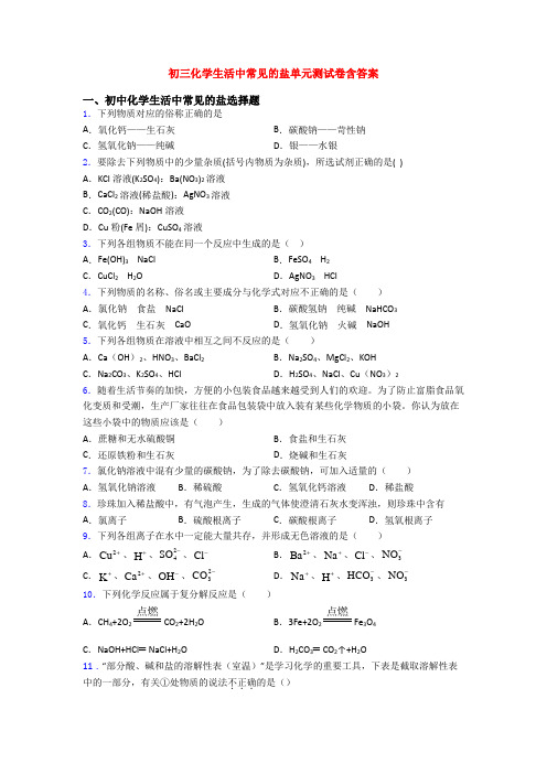 初三化学生活中常见的盐单元测试卷含答案