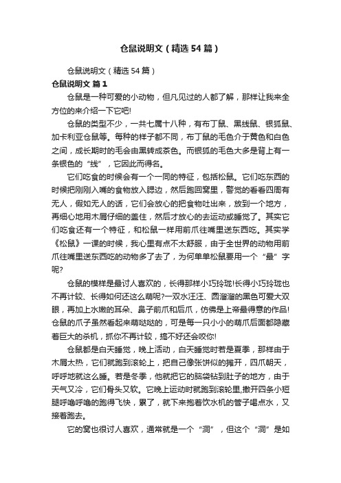 仓鼠说明文（精选54篇）