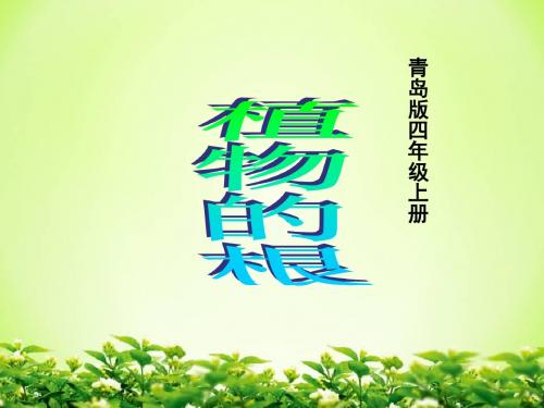 青岛版四年级上册科学9《植物的根》