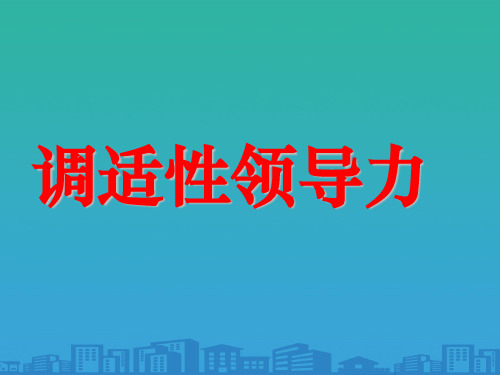 调适性领导力概述(ppt 32页)