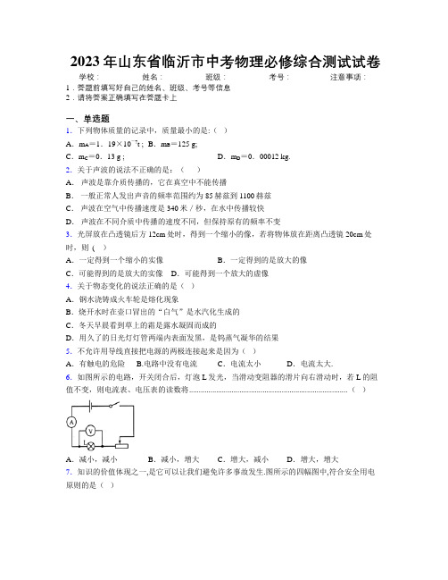 2023年山东省临沂市中考物理必修综合测试试卷及解析