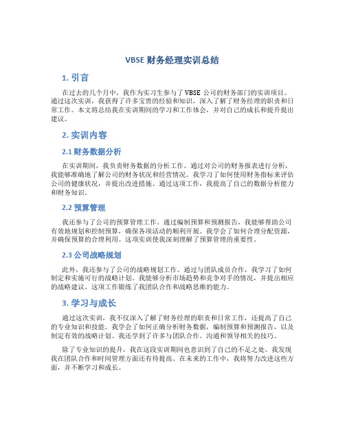 vbse财务经理实训总结