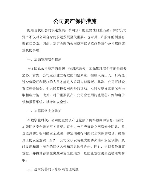 公司资产保护措施