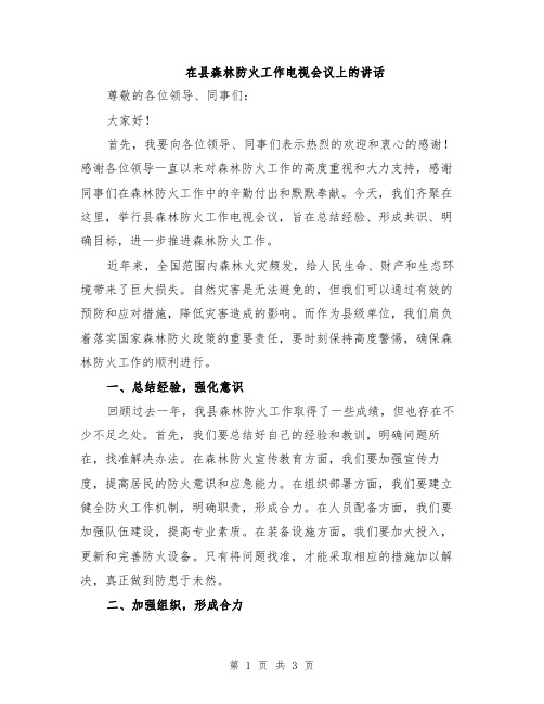 在县森林防火工作电视会议上的讲话