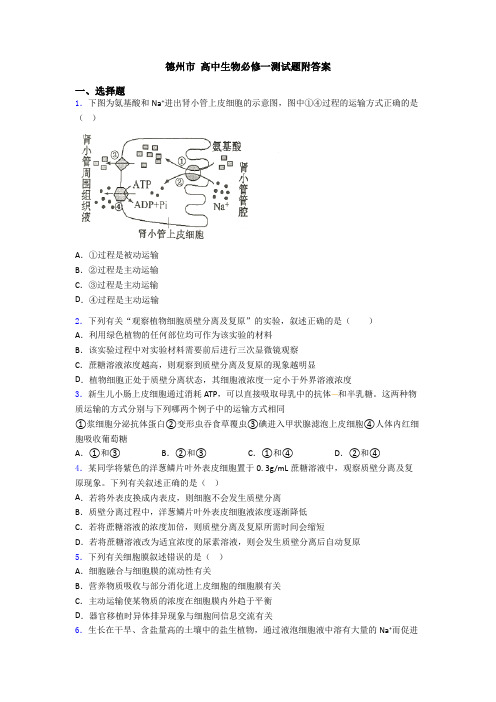 德州市 高中生物必修一测试题附答案