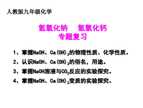 2023年中考化学专题复习---氢氧化钠、氢氧化钙