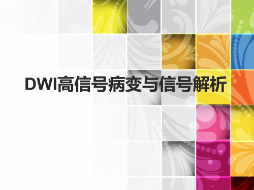 DWI高信号的病变与信号解析