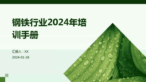 钢铁行业2024年培训手册