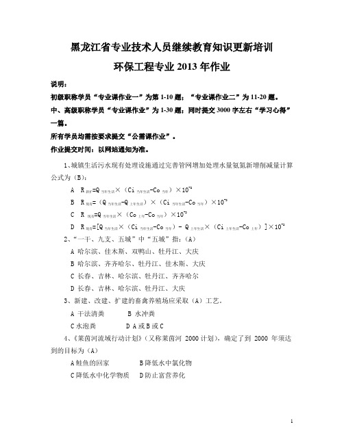 2013年黑龙江省专业技术人员继续教育知识更新培训 环境工程作业