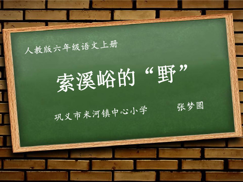 部编六年级上人教《16 青山不老》张梦圆PPT课件 一等奖新名师优质课获奖比赛公开免费下载