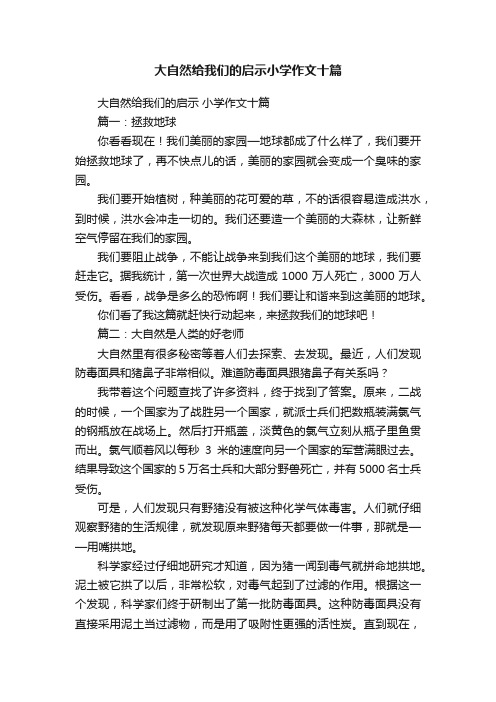 大自然给我们的启示小学作文十篇