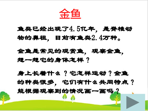 最新教科版三年级科学上册第二单元《金鱼》教学课件