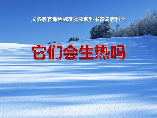 《它们会生热吗》PPT下载