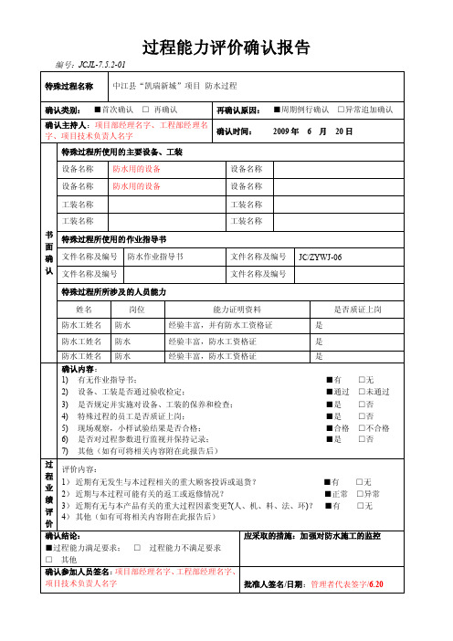 过程能力评价确认报告