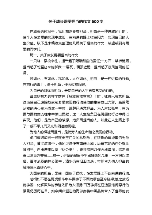 关于成长需要担当的作文600字