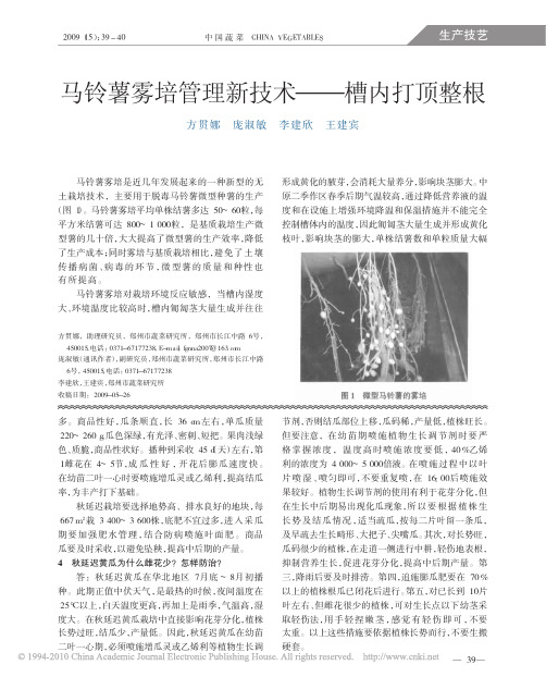 马铃薯雾培管理新技术_槽内打顶整根