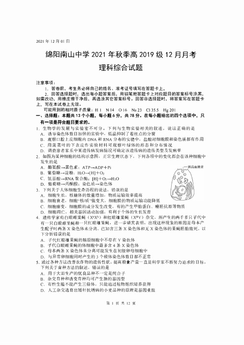 绵阳南山中学 2021年秋季高 2019级 12月月考理科综合试卷及答案