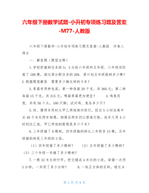 六年级下册数学试题-小升初专项练习题及答案-M77-人教版