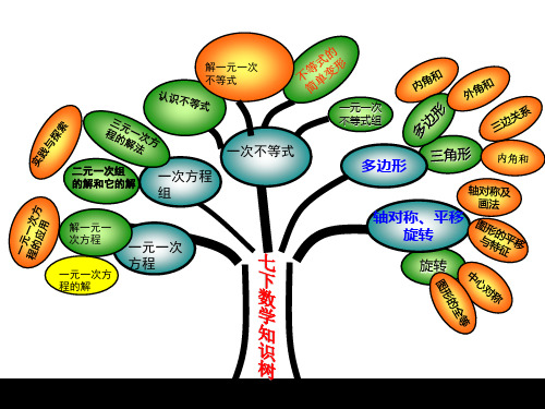 七年级下数学知识树