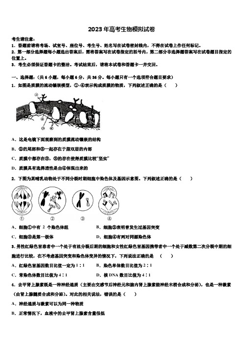 山东省重点中学2023年高三第六次模拟考试生物试卷含解析