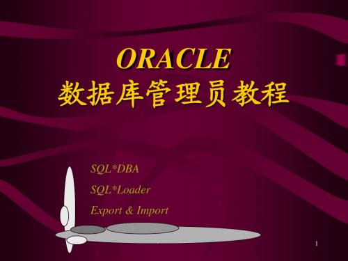 ORACLE数据库DBA(精华教程)