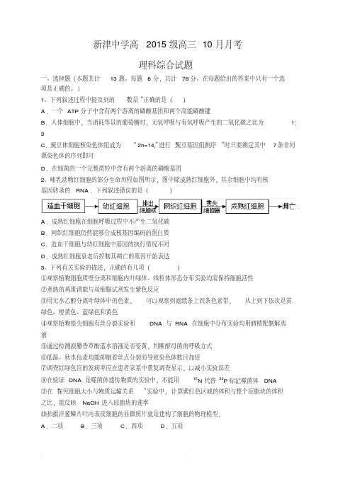 四川省新津中学2020届高三10月月考理科综合试卷(含答案)