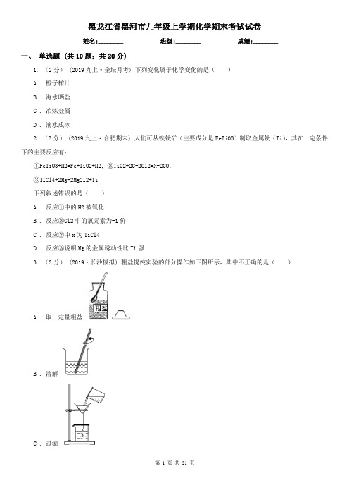 黑龙江省黑河市九年级上学期化学期末考试试卷