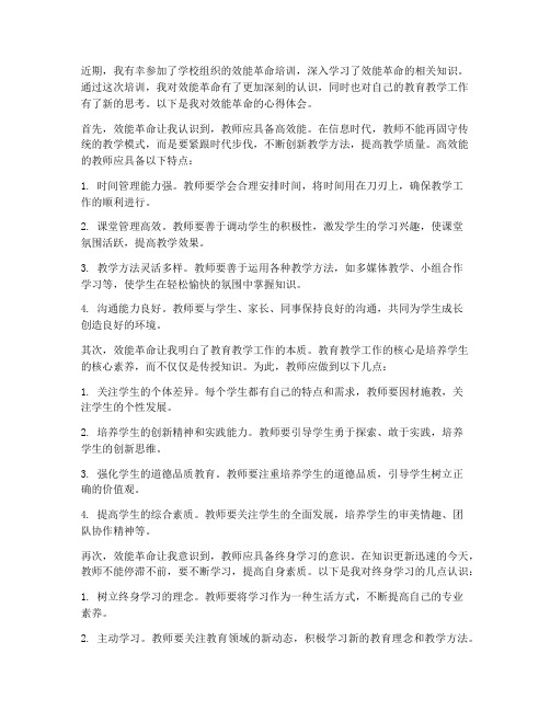 效能革命心得体会教师