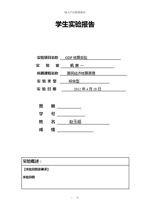 投入产出核算报告参考模板