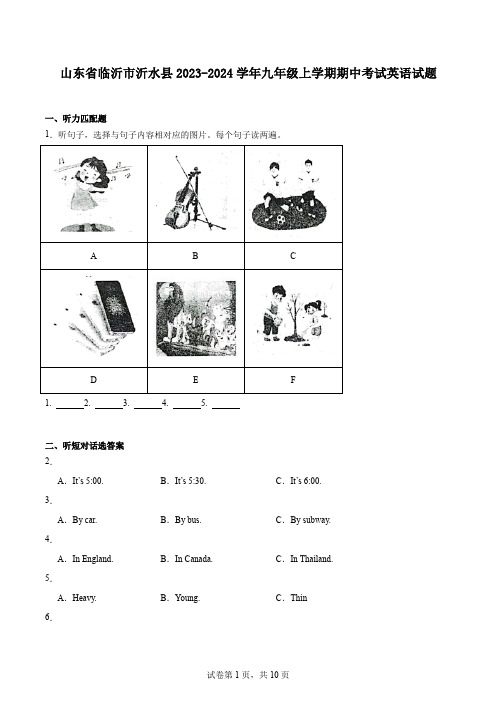 山东省临沂市沂水县2023-2024学年九年级上学期期中考试英语试题