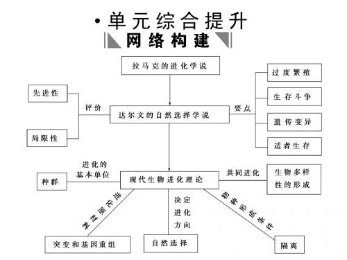 人教版试题试卷2011高考生物一轮复习课件：必修2 第7章 现代生物进化理论 单元综合提升ppt