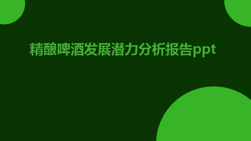 精酿啤酒发展潜力分析报告ppt