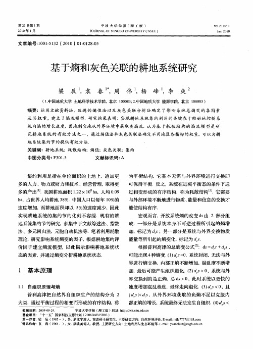 基于熵和灰色关联的耕地系统研究