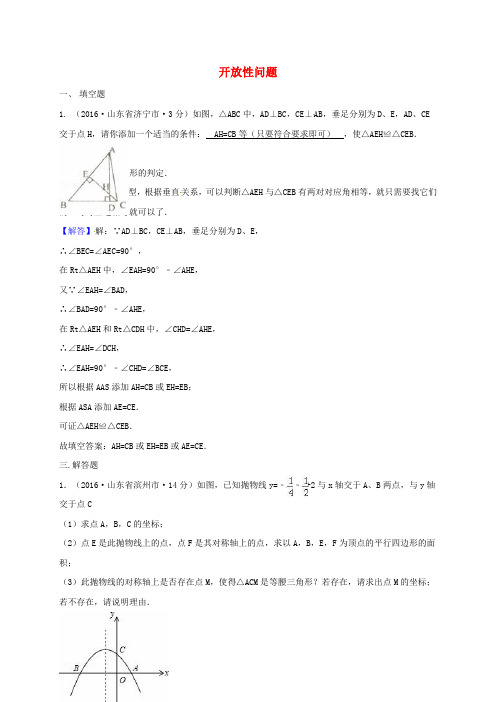 中考数学专题复习 开放性问题测试题(含解析)