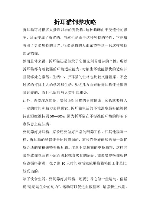 折耳猫饲养攻略