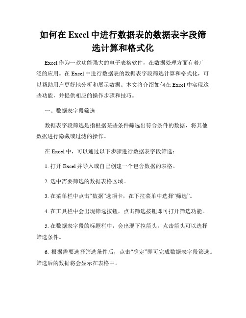 如何在Excel中进行数据表的数据表字段筛选计算和格式化