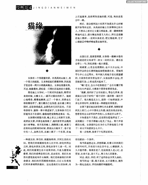 猫缘