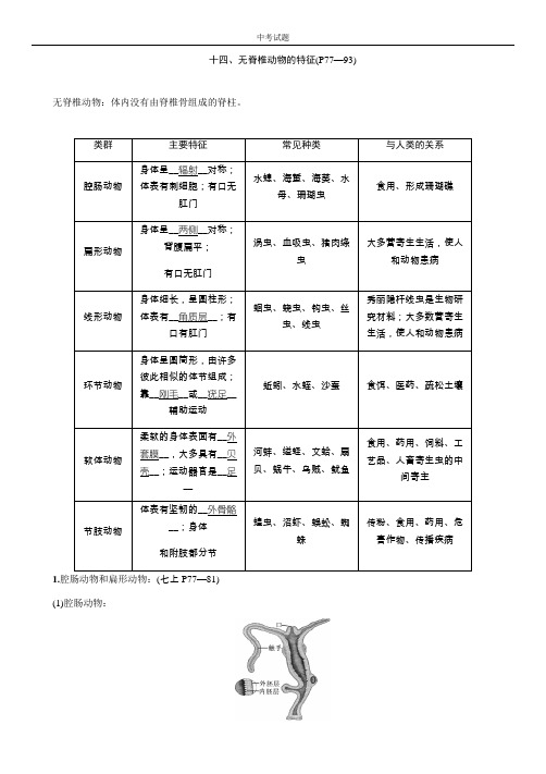 十四、无脊椎动物的特征