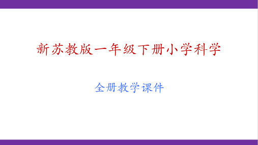 新版教材苏教版一年级下册科学全册教学课件PPT