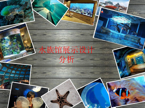 水族馆展示设计分析案例--蓝色星球