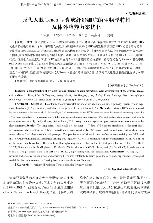 原代人眼Tenon’s囊成纤维细胞的生物学特性及体外培养方案优化