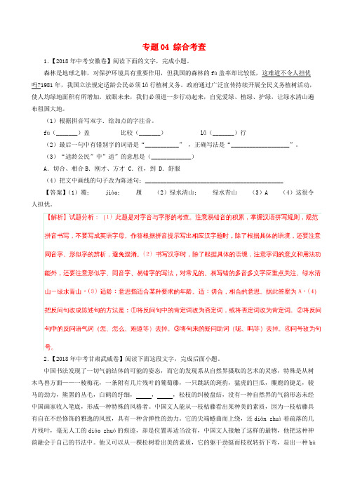 2018年中考语文试题分项版解析汇编：专题04-1 综合考查(含解析)