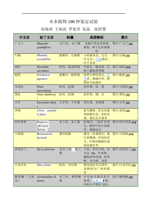 最新木本植物100种鉴定word版本