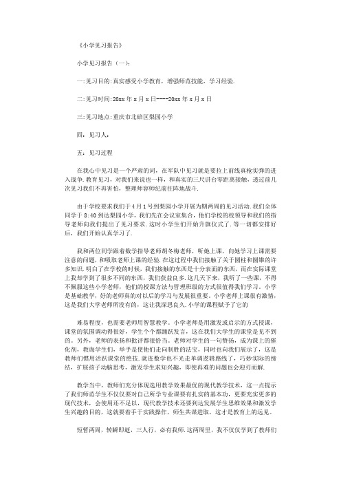 小学见习报告10篇