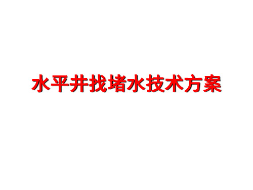 水平井找堵水技术方案