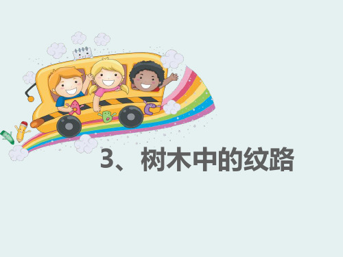 《树木中的纹路》走进树林精品教学课件.