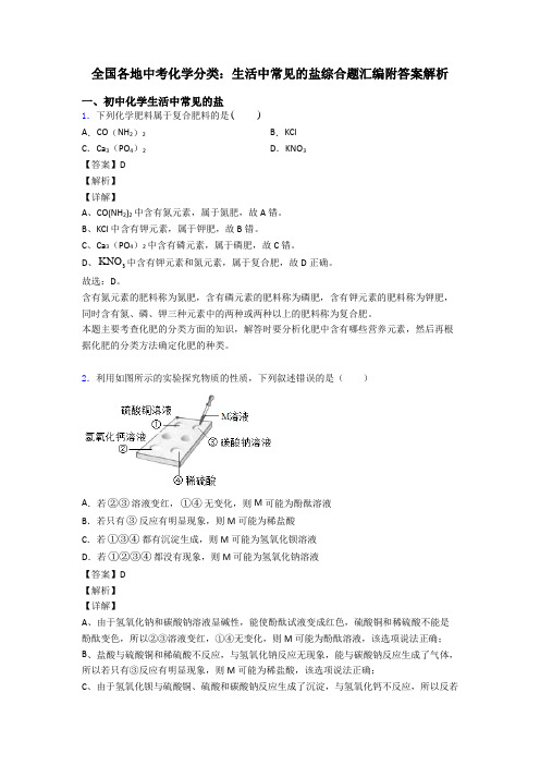 全国各地中考化学分类：生活中常见的盐综合题汇编附答案解析