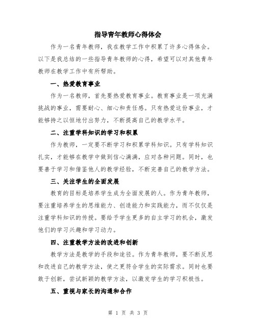 指导青年教师心得体会