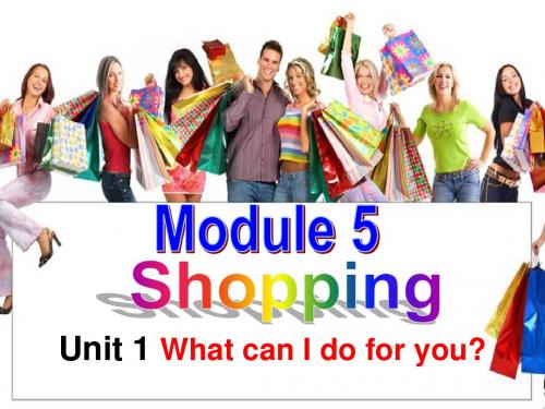 M5-shopping-Unit-1-What-can-I-do-for-you-(2)