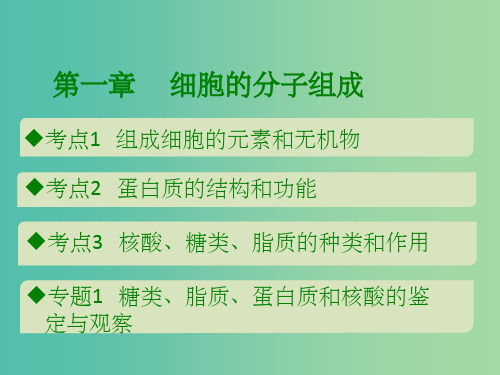 600分考点 700分考法(A版)201x版高考生物总复习 第一章 细胞的分子组成